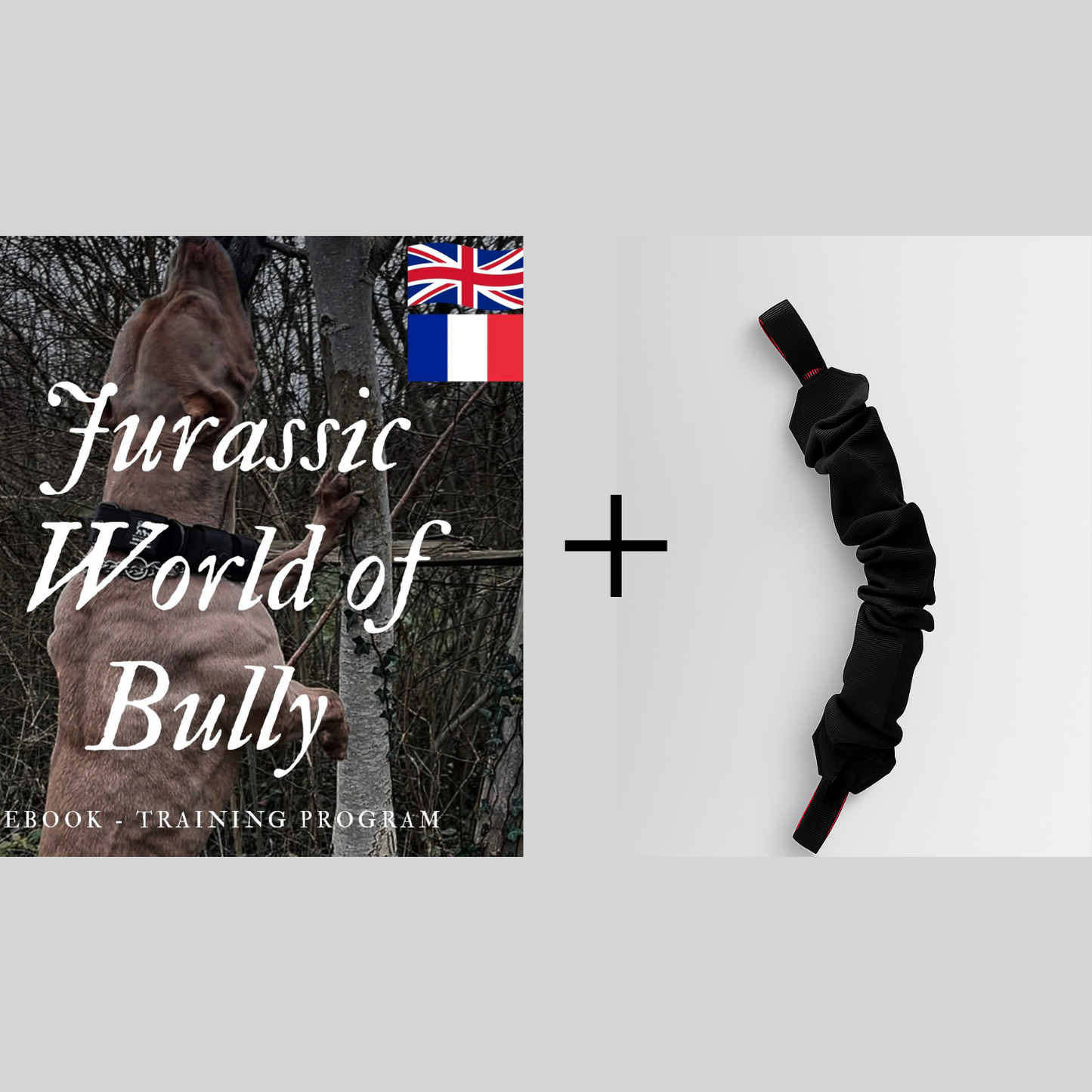 JWB Starter Pack