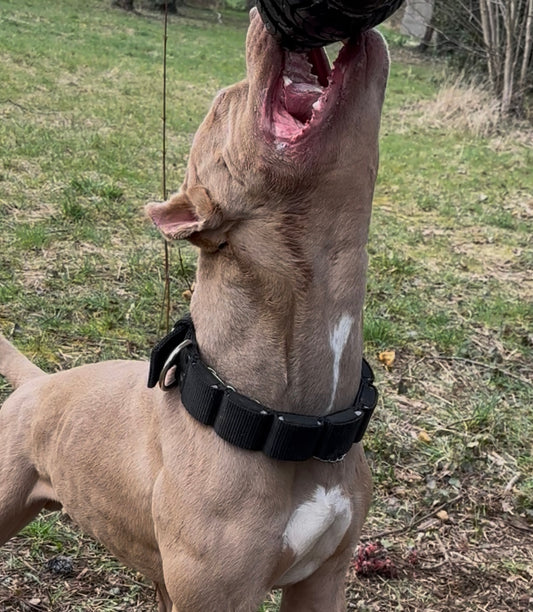 Weighted collar