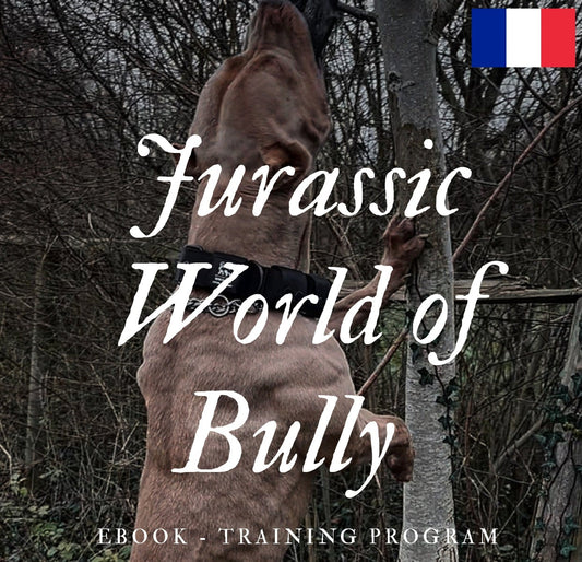 JWB Program (Version Française)