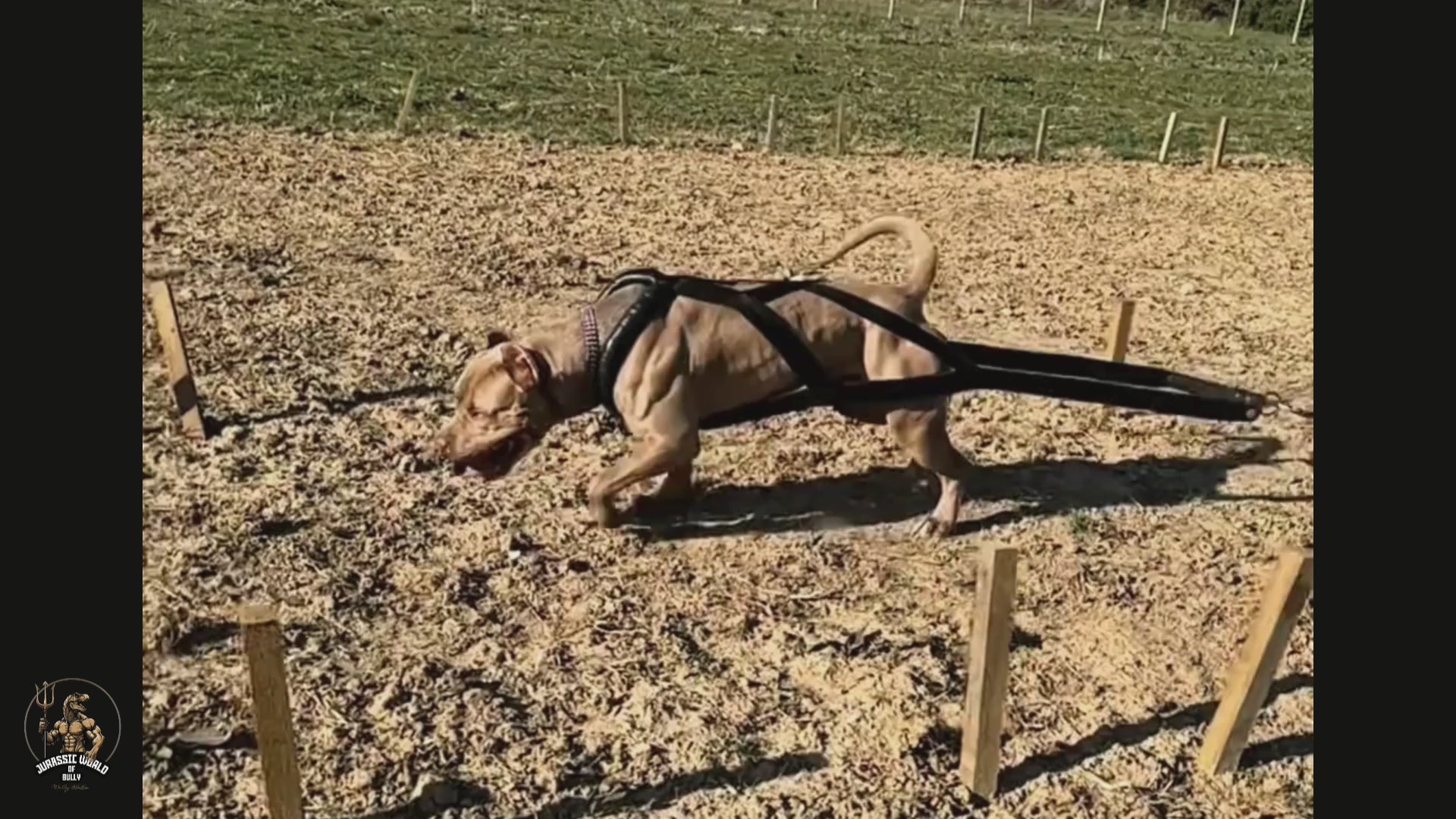 Load video: 